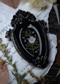 Image 4 of Piglet Rib Bones and Floral Mini Wall Frame #2