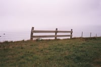 Image of Teach me how to grow #3 petit format