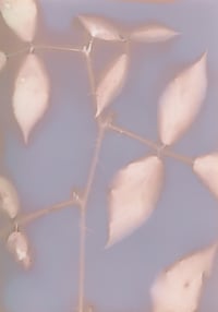 Image of De l'autre côté de la rivière #1 petit format