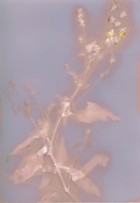 Image of De l'autre côté de la rivière #2 petit format