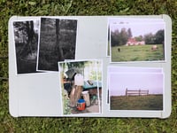 Image of Tree Studies #3 petit format