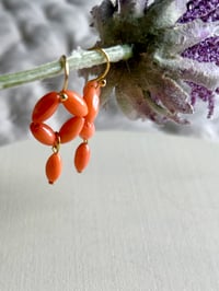 Image 2 of Mini arito coral-