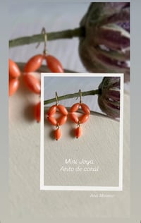 Image 3 of Mini arito coral-