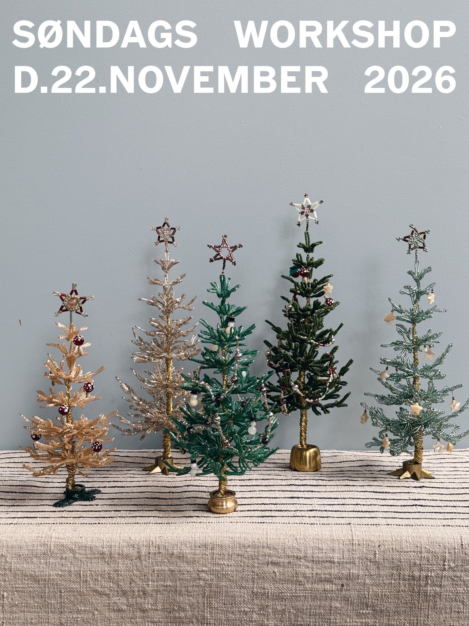 Søndags workshop d.22.November 2026