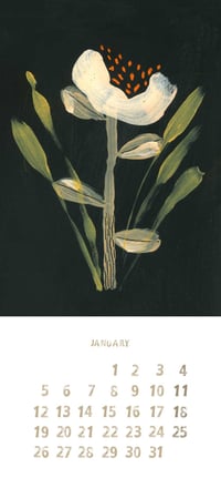 Image 2 of CALENDAR 2026 Àfrica Fanlo