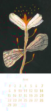 Image 4 of CALENDAR 2026 Àfrica Fanlo