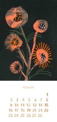 Image 5 of CALENDAR 2026 Àfrica Fanlo