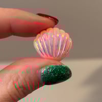 Pink Iridescent Seashell Plugs (sizes 2g-9/16)