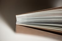 Image 11 of Isbaelle Chapuis - Vivant