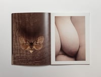 Image 5 of Isbaelle Chapuis - Vivant