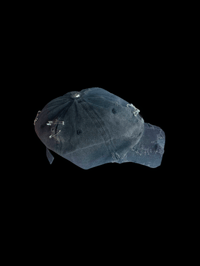 Image 2 of "épynlge" hat 