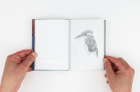 Image 4 of Tout va bien - Vera Muratet