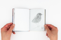 Image 7 of Tout va bien - Vera Muratet