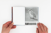 Image 5 of Tout va bien - Vera Muratet