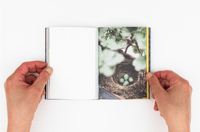 Image 8 of Tout va bien - Vera Muratet