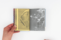 Image 3 of Tout va bien - Vera Muratet