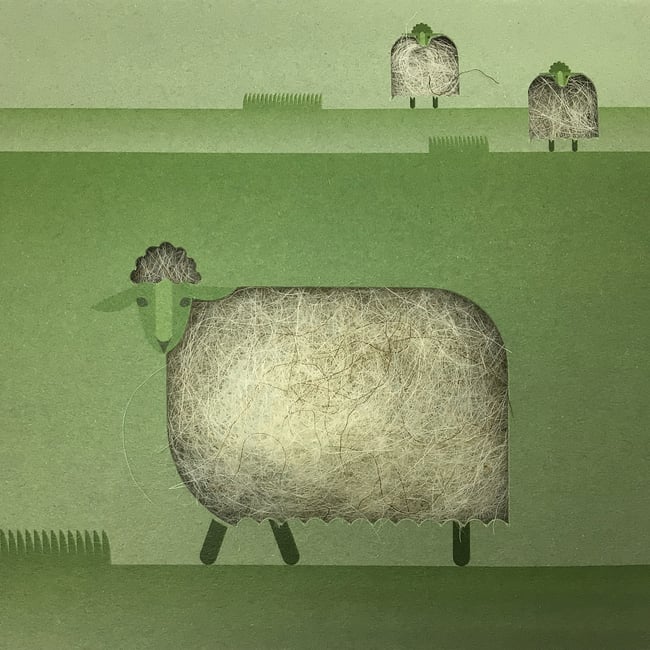 Postal "Oveja Latxa" Postcard