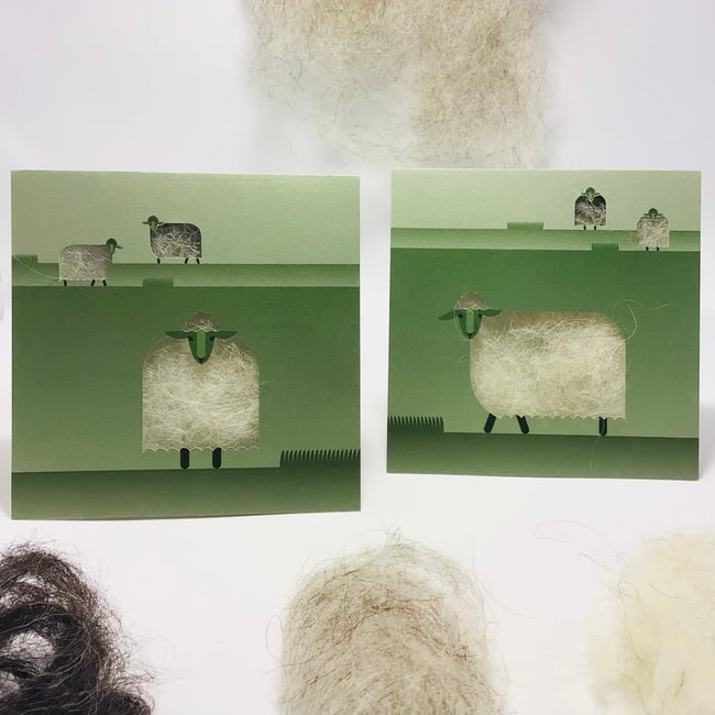 Postal "Oveja Latxa" Postcard