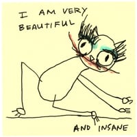 V beautiful v insane 