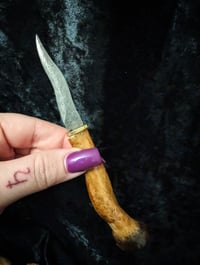 Image 2 of INCANTATION II pocket Ritual Bone Knife