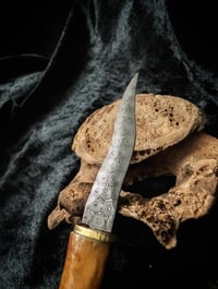Image 3 of INCANTATION II pocket Ritual Bone Knife