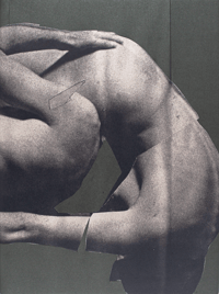 Image 1 of Wild Flowers - James Gallagher