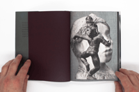 Image 2 of Wild Flowers - James Gallagher