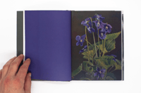 Image 5 of Wild Flowers - James Gallagher