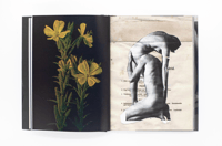 Image 4 of Wild Flowers - James Gallagher