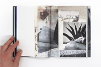 Image 7 of Wild Flowers - James Gallagher