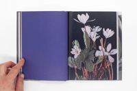 Image 8 of Wild Flowers - James Gallagher