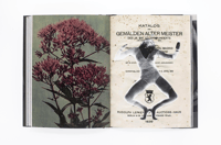 Image 9 of Wild Flowers - James Gallagher