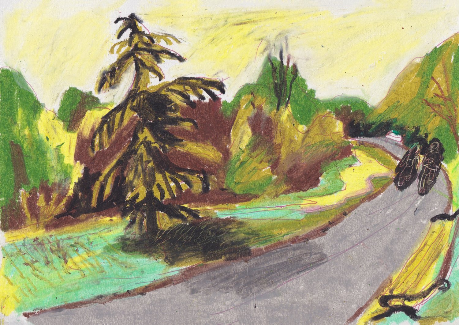 Taking a Stroll in the Park