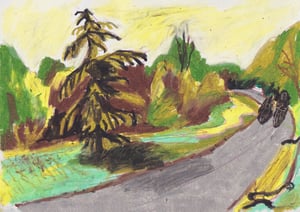 Taking a Stroll in the Park