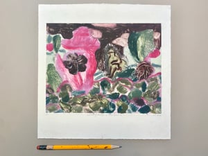 Walking through a fish bowl