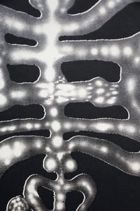 Image 2 of Stach Szumski "Decomposition Cycles" (2)