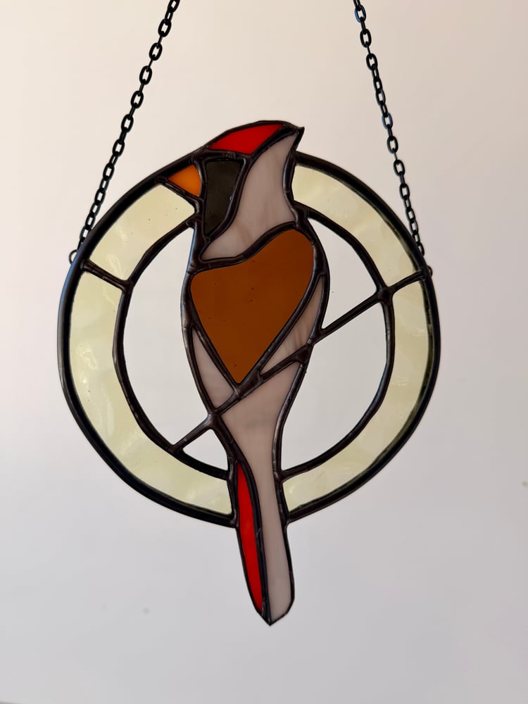 Image of Blemished Female Cardinal