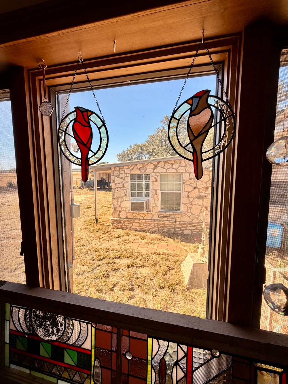 Image of Blemished Female Cardinal