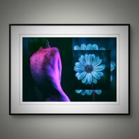 Image 4 of 'Neon Body'