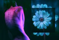 Image 1 of 'Neon Body'