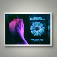 Image 2 of 'Neon Body'