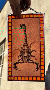 Image 1 of Halloween Scorpion