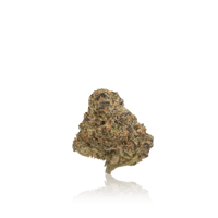 Image 5 of Biscotti - Premium Indoor Flower 3.5g