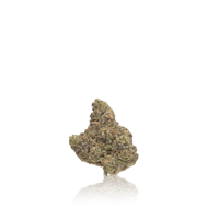 Image 6 of Biscotti - Premium Indoor Flower 3.5g