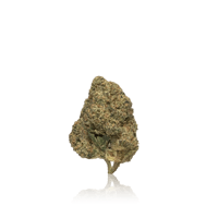 Image 3 of Biscotti - Premium Indoor Flower 3.5g