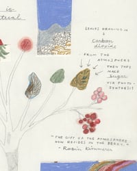 Image 2 of Science of Berries