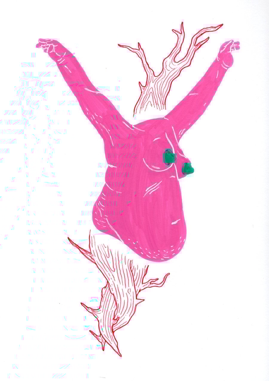 Image of ¡EXALTADA!