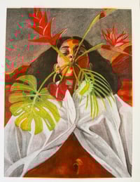 Image 2 of Flores Milagras