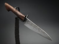 Image 1 of Forged Apex Ultra Petty - Curly Walnut