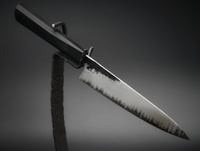 Image 1 of Forged Apex Ultra stainless clad Petty - Black Hornbeam 